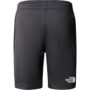 The North Face Mountain Athletics Shorts Barn Grå 155 160