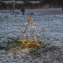 Star Trading Utendørsdekor Foldy 55 cm Svart 1719574-01-0 1579133-01-0