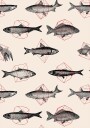 Fishes In Geometrics Nº4 Plakat Plakat / 21x30cm
