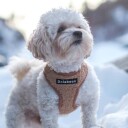 Beige Teddy Hunde- Og Kattesele