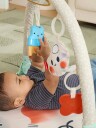 Skip Hop Painted Dreams 4-I-1 Babygym