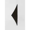 Fwss Dame Accessories Brun ONE SIZE,