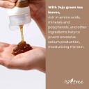 Isntree Green Tea Cleanser 120 ml