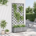 Plantekasse med espalier grå heltre gran