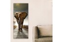 Canvasbilde DKY Animals Flerfarget 50x120 cm