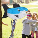 Rxs Pinata hai 10028080