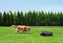 MOVA ViAX 600 robotic lawnmower 600 m