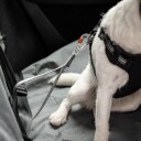 Feel Active Heavy Duty Bilbelte Til Hund (S)