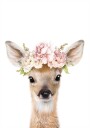 Floral Baby Deer Plakat Plakat / 50x70cm