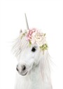 Floral Unicorn Plakat Plakat / 70x100cm