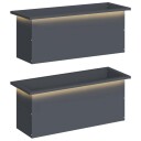 vidaXL Hageplantekasse med LED 2 stk. Antrasitt 30 x 80 x 30 cm Stål
