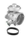 EGR Ventil WAHLER 712006D