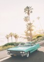 Malibu Classic Plakat Plakat / 70x100cm