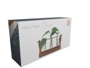Winkee Hydro Vases Blossom Vase