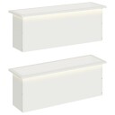 vidaXL Hageplantekasse med LED 2 stk. Hvit 30 x 100 x 30 cm Stål