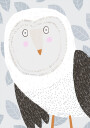 Funny Winter Owl with Grey Leaf Pattern by Artist Carla Daly Plakat Plakat / 50x70cm