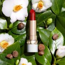 Clarins Joli Rouge Shine Lipstick 742s