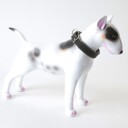 Halsbånd hund  Polstret Hundehalsband  Svart/grønn