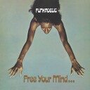 Funkadelic  Free Your Mind And Your Ass Will Follow  CD