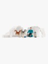 Schleich Wild Life Antarktis Ekspedisjon Lekesett 19 Deler
