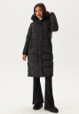 Rockandblue Falcon Jacket