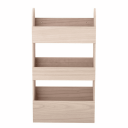 Moris Shelf, Nature, Paulownia