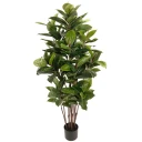 Fikus Robusta kunstig plante H150 280746