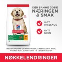 Hill's Science Plan Puppy Large Breed Kylling 14,5 kg - Tørrfôr for Valper