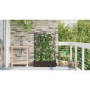 Hage blomsterkasse med trellis 2 stk Brun 80x40x125.5 cm