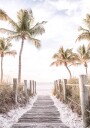 Footbridge Beach Plakat Plakat / 50x70cm