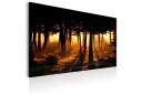 Tavle Forest Dawn 90X60 Artgeist sp. z o. o.