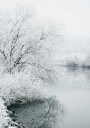 Winter Lake Plakat Plakat / 21x30cm