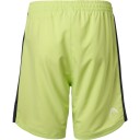 HEAD Power Tennisshorts Herre Grønn L