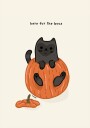 Black Cat Playfully Sitting In A Pumpkin Plakat / 100x150cm