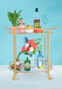 Bar Cart Plakat / 40x50