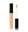 Evagarden Impeccable Concealer Impeccable Concealer 321