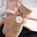 Daniel Wellington DW Classic Bracelet S Roségull