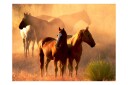 Fototapet Wild Horses Stäppen 250x193 - Artgeist sp. z o. o.