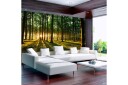 Fototapet Spring Morning In The Forest 100x70 - Artgeist sp. z o. o.