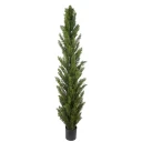 Mr Plant Cypress Tre 120 cm