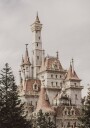 Fairytale Castle Plakat Plakat / 30x40cm