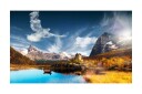 Fototapet Bird Cloud 450x270 - Artgeist sp. z o. o.