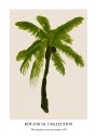 Botanical Collection Nr. 6 Plakat Plakat / 30x40cm