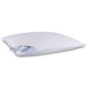 Zen Sleep Dunpute - 50x60 cm - 3-Kammer pute med moskusandedun - "Lav" pute - Zen Sleep