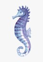 Blue Seahorse Plakat Plakat / 40x50cm