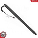 Elektromotor bakluke ESEN SKV 52SKV254