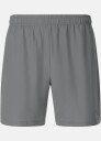 Virtus Spier V3 M Shorts