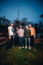 Disposable Everything  Green