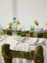 Paveau   Ribbed Elegance glass Bondi 25 cl grønn