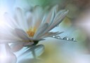 Light touch... Plakat / 30x40cm